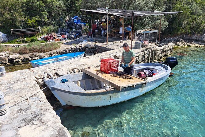 Authentic private viewpoint wine&dine tour - Milos Winery on Pelješac: Family-Run Wine Country Time