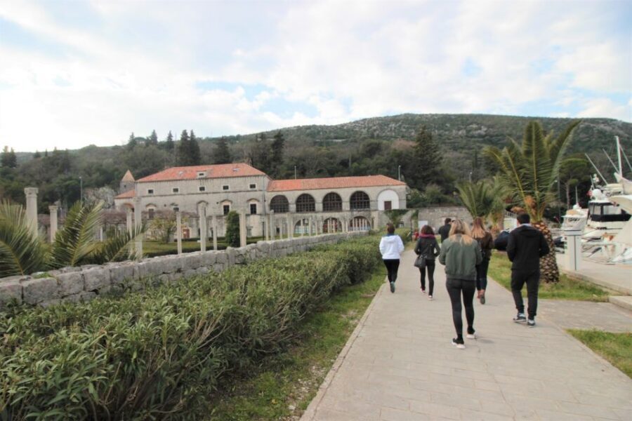 Dubrovnik: Private Cooking Experience with Wine Tasting - Price and Value for a Group Up to Four