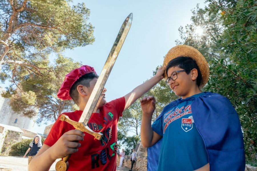Dubrovnik: Private Family Friendly City Tour with Guide - Price and value: $76 per person for a private family plan