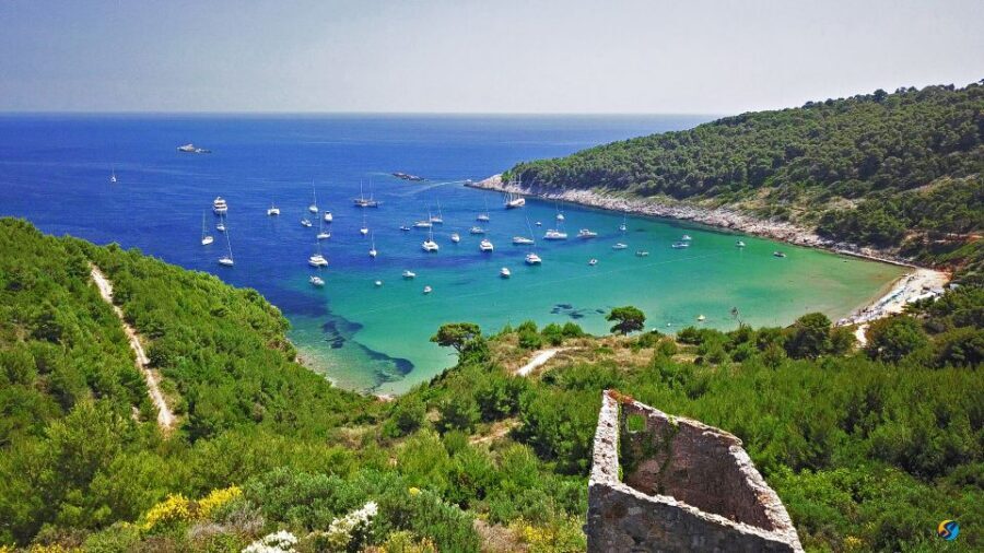 From Dubrovnik: Full-Day Private Boat Tour of Elafiti Island - Getting started in Dubrovnik and timing your day