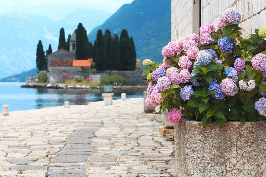 From Dubrovnik: Montenegro Highlights Day Tour - Kotor’s Old Town: Walls, Cathedral Options, and a Good Local Guide