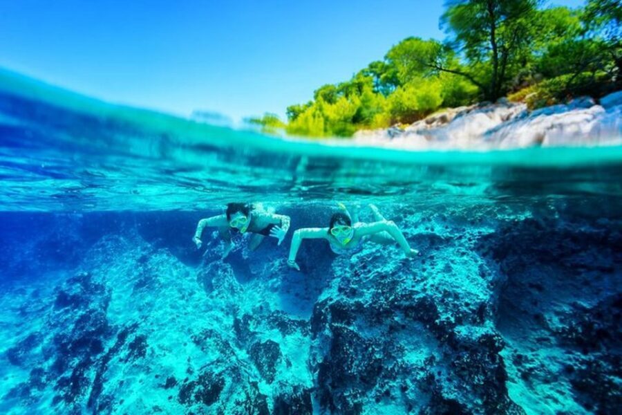 From Dubrovnik: Private Island-Hopping Customizable Cruise - What to pack: your picnic plan, sunscreen, and keeping drinks cold