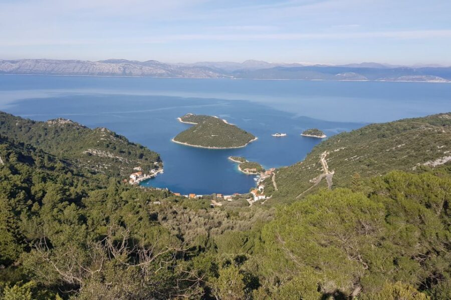 From Dubrovnik: Pvt Speedboat Cruise to Mljet&Sipanska Luka - Key Things That Make This Tour Worth Your Time