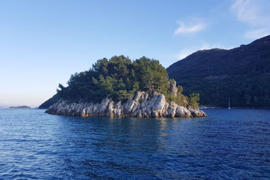 From Dubrovnik: Pvt Speedboat Cruise to Mljet&Sipanska Luka - Practical Packing Tips That Will Actually Save Your Day