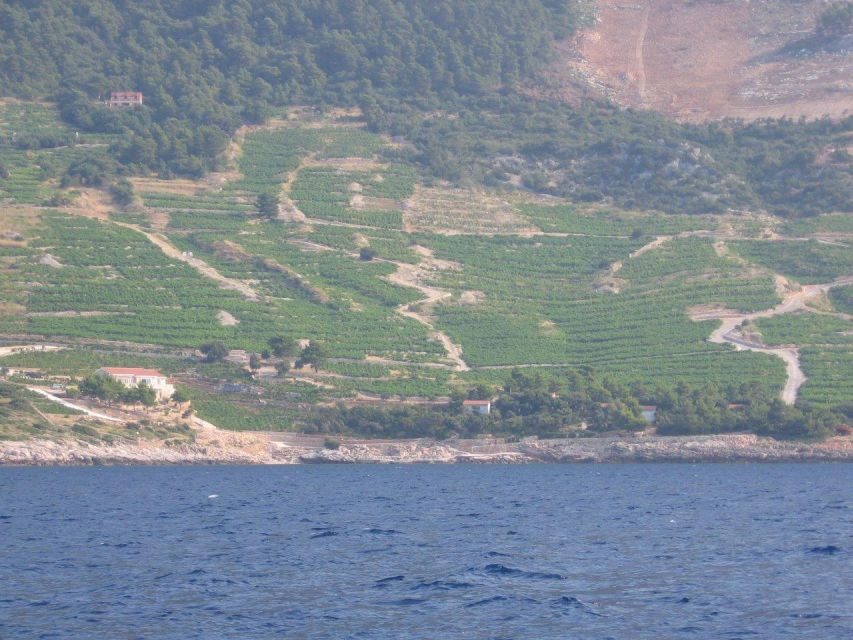 Korčula & Ston Full-Day Private Tour from Dubrovnik - Ston’s Salt Flats and Ragusan Walls: Medieval Power You Can Walk