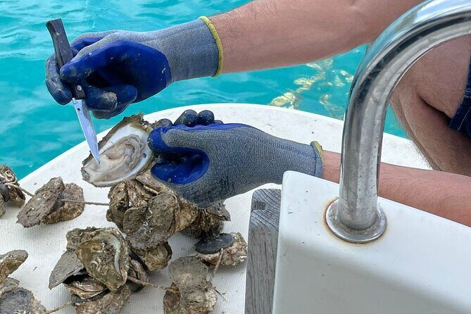 Peljesac Wine & Ston Oysters PRIVATE HALF DAY SHORE TOUR - Ston Town Walk: City Walls, Salt Pans, and Real Time to Choose Your Own Pace