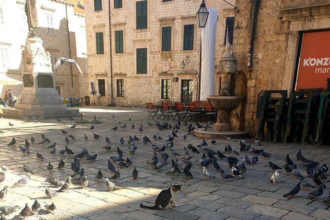 Private Fort Lovrijenac and Dubrovnik City Tour - St. Ignatius of Loyola and the Walk of Shame stairs