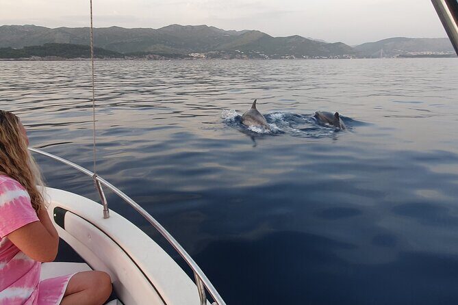 Private Local Guided Speedboat Tour in Dubrovnik Archipelago - Donje Čelo and Gornje Čelo: seeing the other side of Koločep