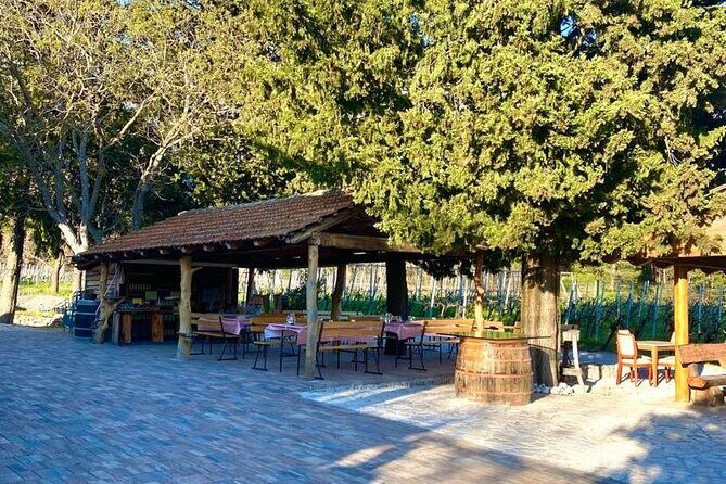PRIVATE Wine Tour to Konavle country side - Smoked ham, cheese, and the picnic-table pacing
