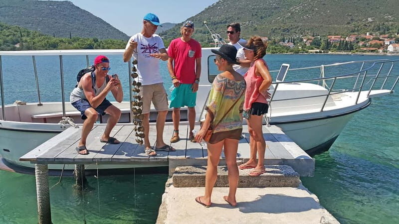 Ston Oyster & Wine Tasting Private Tour From Dubrovnik - Key highlights at a glance