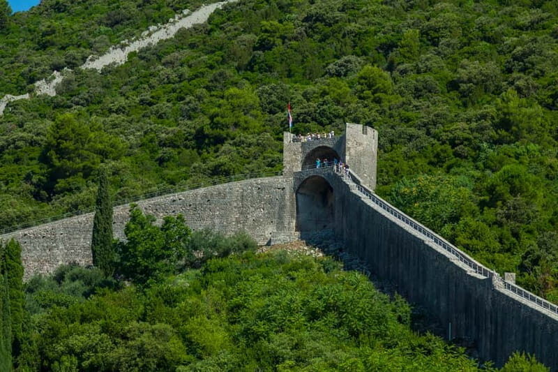 Ston Oyster & Wine Tasting Private Tour From Dubrovnik - Price and value: what’s included, what’s cash, and why it still makes sense