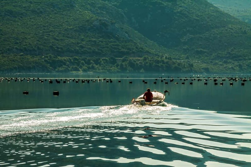 Ston Oyster & Wine Tasting Private Tour From Dubrovnik - A private 7-hour escape that actually feels like a break