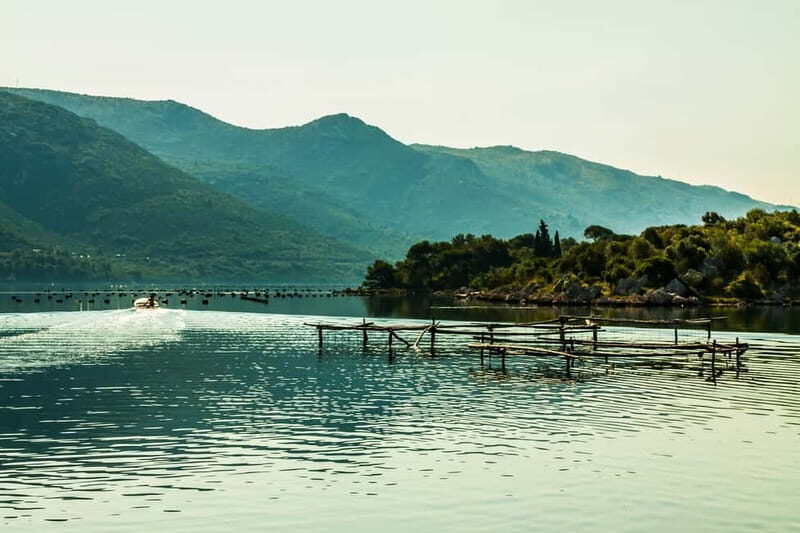 Ston Oyster & Wine Tasting Private Tour From Dubrovnik - Hodilje to the oyster farm: what the boat ride adds