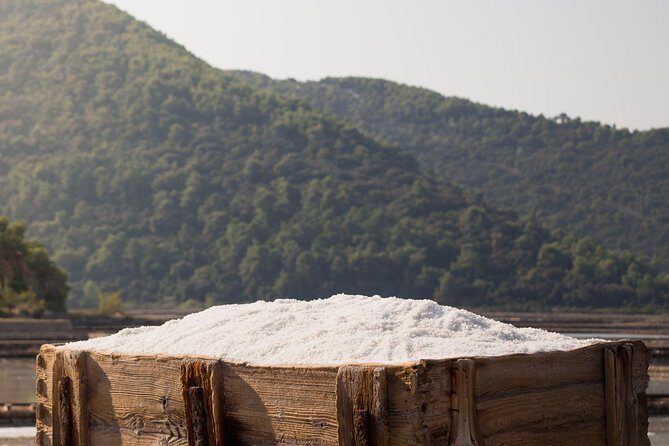 Wine Lover's Tour of Peljesac Peninsula - Key highlights worth planning for